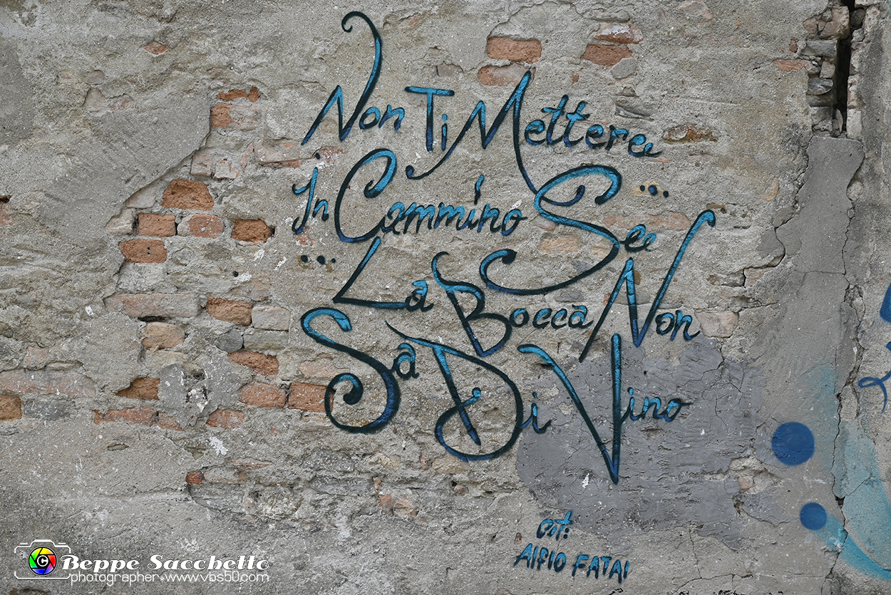 VBS_2873 - Neive.jpg